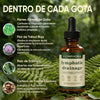 Gotas de Drenaje Linfático